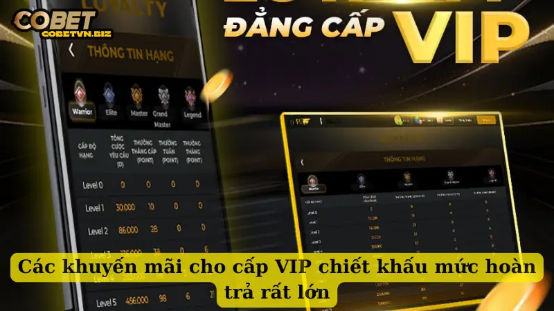 Các khuyến mãi cho cấp VIP chiết khấu mức hoàn trả rất lớn