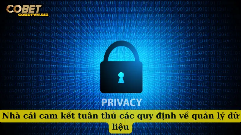 Nhà cái cam kết tuân thủ các quy định về quản lý dữ liệu